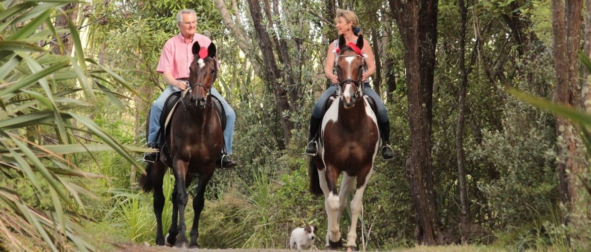 Horse Riding with Dog