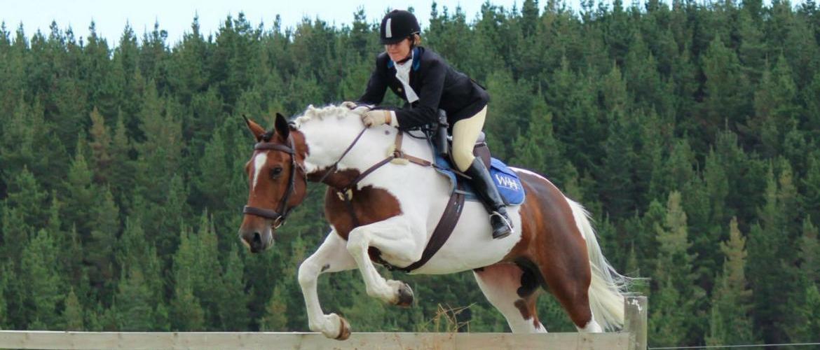 Horse Jumping