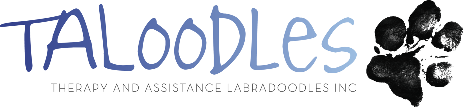 Taloodles Therapy and Assistance Labradoodles