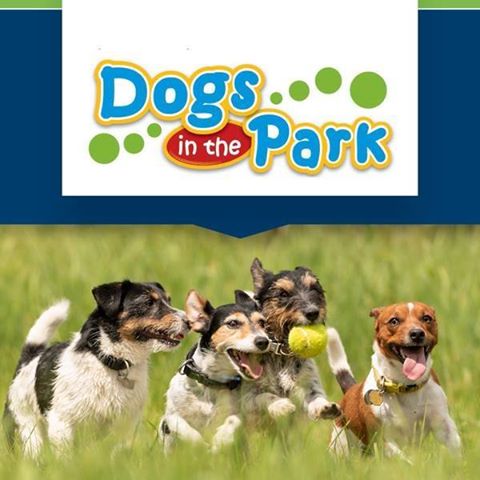 Petcationz Dogs in the Park various Venues NSW