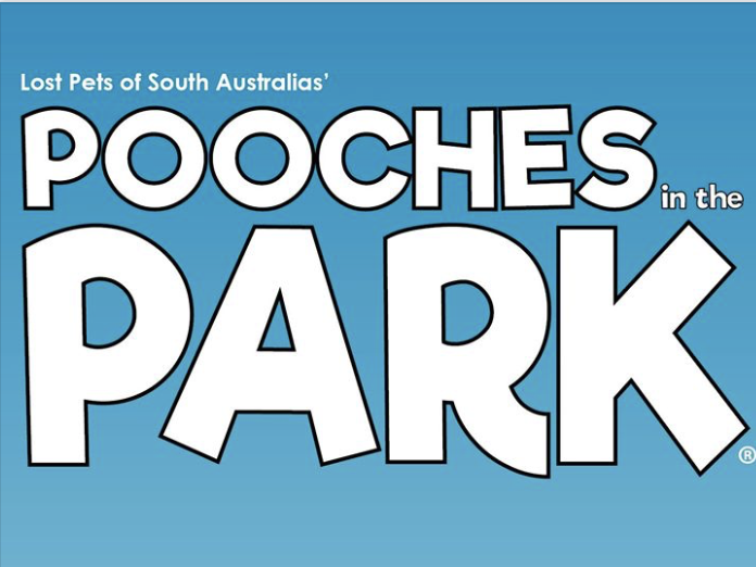 Petcationz Pooches in the Park Torrensville South Australia April 2020