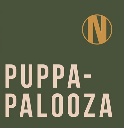 Petcationz Puppa Palooza Newmarket Hotel St Kilda Melbourne Victoria 23 February 2020