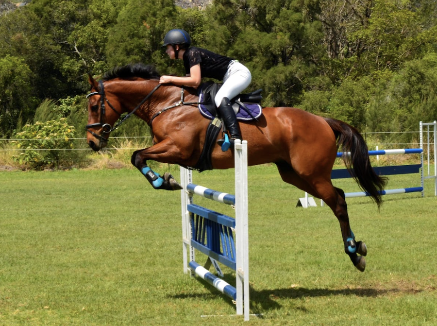 Petcationz Gatton World Cup Show Jumping Championships