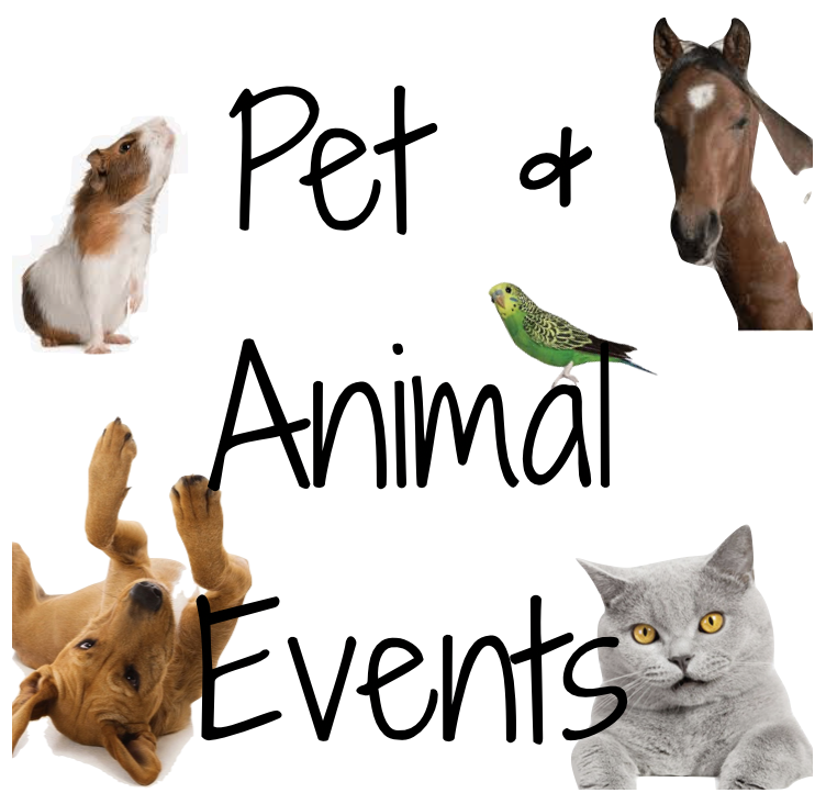Petcationz pet and animal events