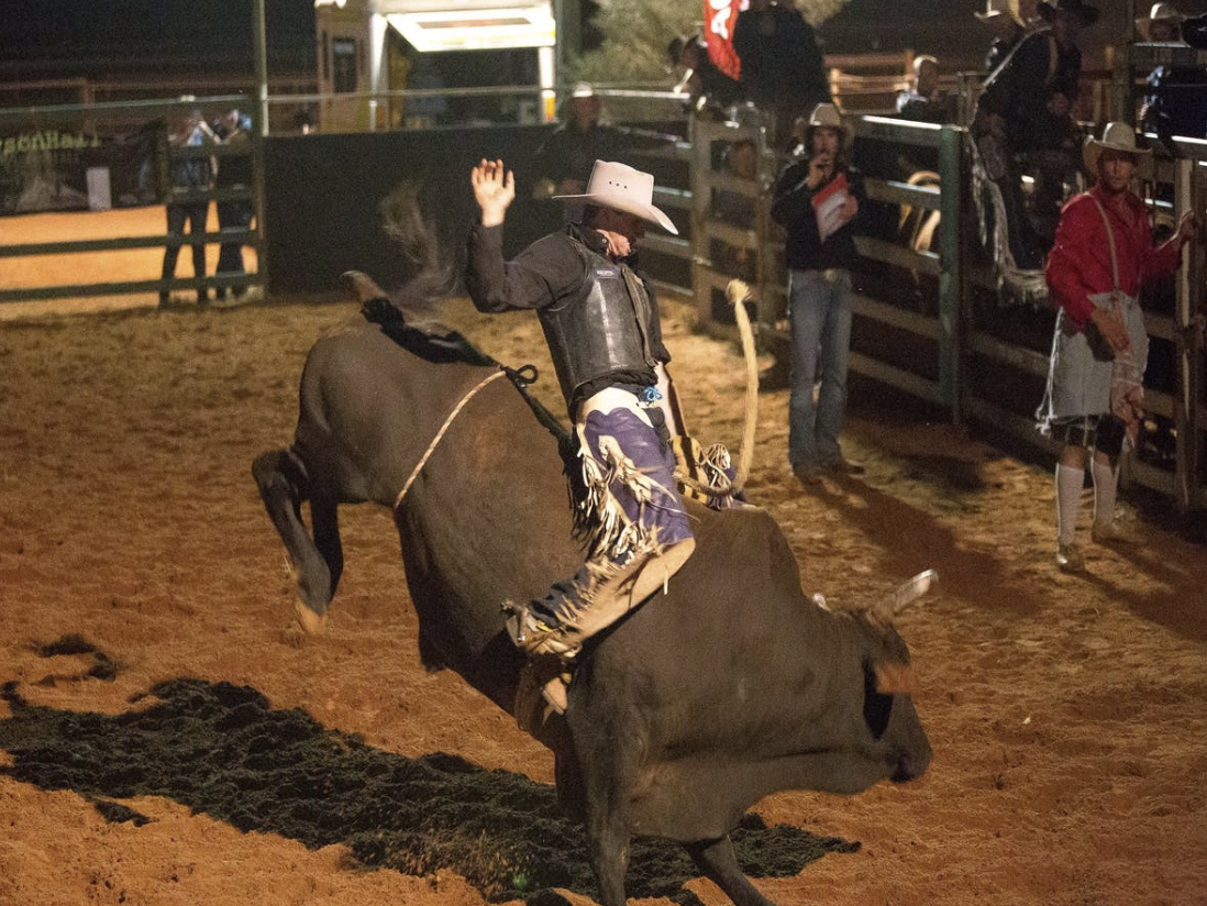 Petcationz Quilpie and district show and Rodeo 2020